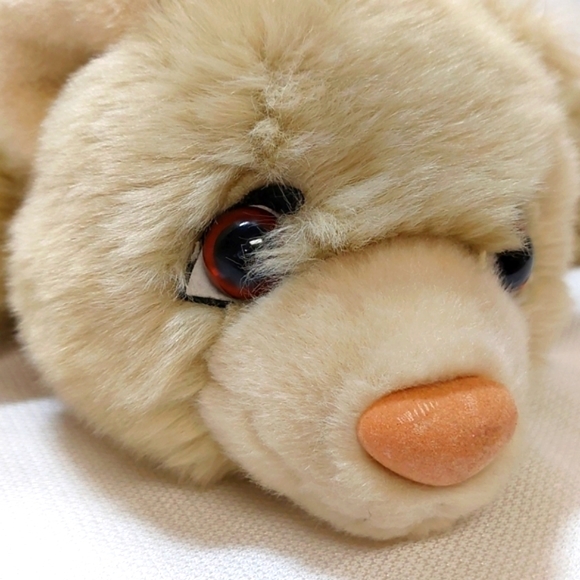 Lil' Pet Hospital Plush☆Dropsie the Bear Cub - Picture 5 of 11